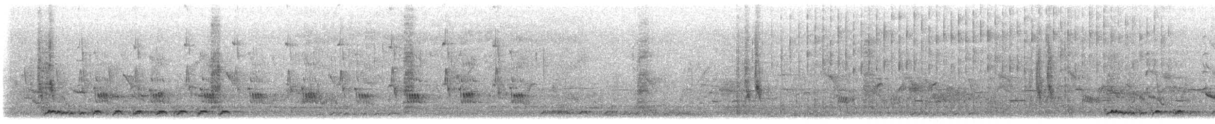 Zebra Kumrusu - ML647403873