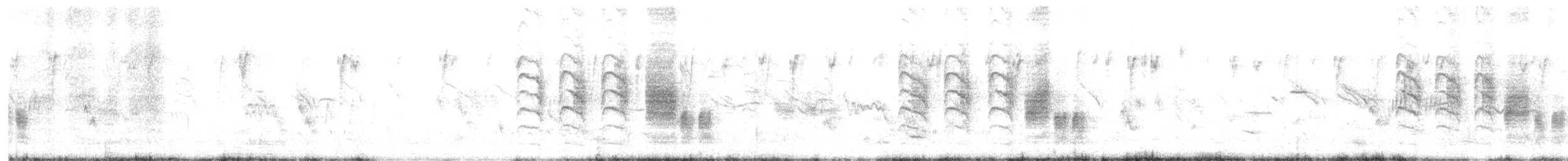 Rendeci Yelpazekuyruk - ML647403952