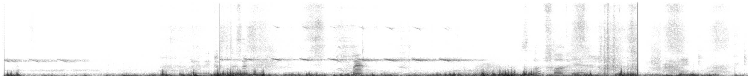 Red-crested Bustard - ML647404197