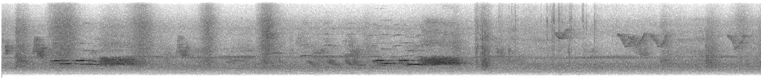 Black-collared Starling - ML647404218