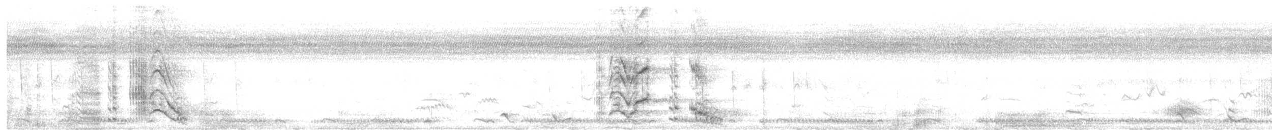 Burchell's Starling - ML647404296