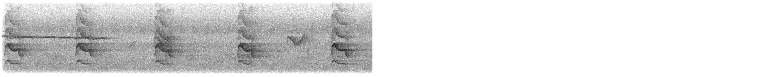 Shikra - ML647404314