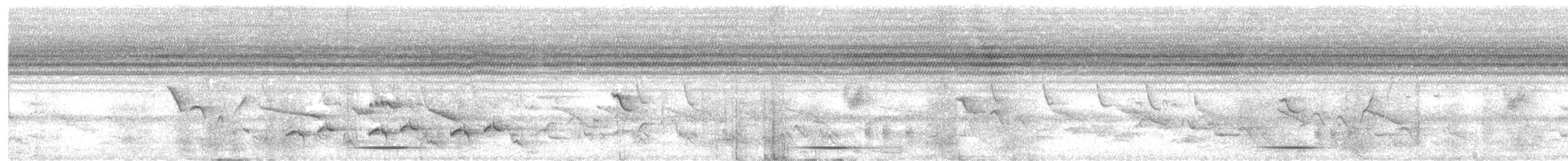 Gray Go-away-bird - ML647404507