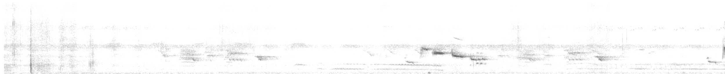 Red-billed Spurfowl - ML647404516