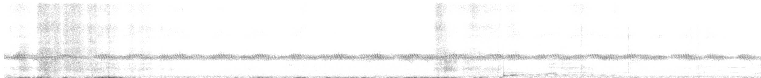 White-browed Coucal - ML647404533