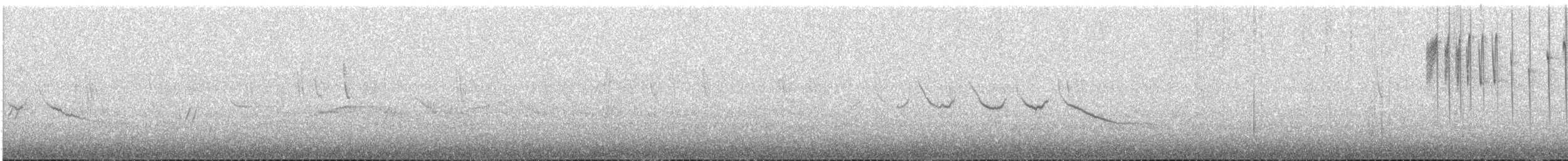 White-sided Hillstar - ML647404540