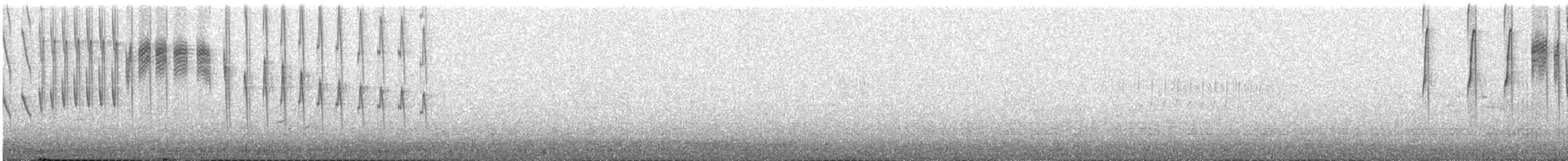 White-sided Hillstar - ML647404549