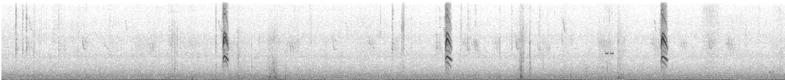 Buff-winged Cinclodes - ML647404561