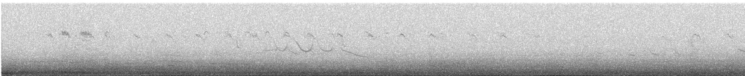 White-browed Ground-Tyrant - ML647404602