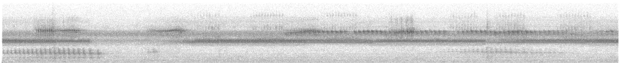 Австралийская иглоногая сова - ML647404800