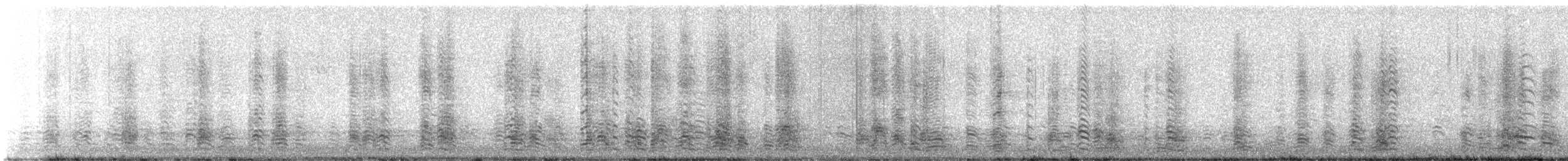 berneška bělolící - ML647405732