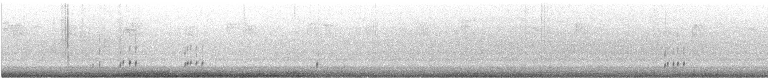 Carolina Wren - ML647407191