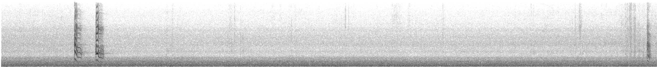 Red-bellied Woodpecker - ML647407226