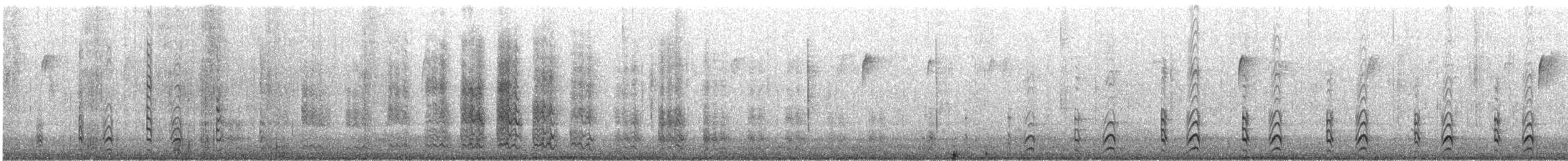 Red-bellied Woodpecker - ML647407471