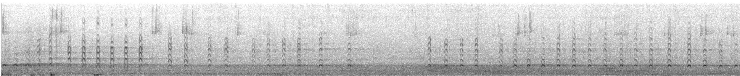 Pileated Woodpecker - ML647407494