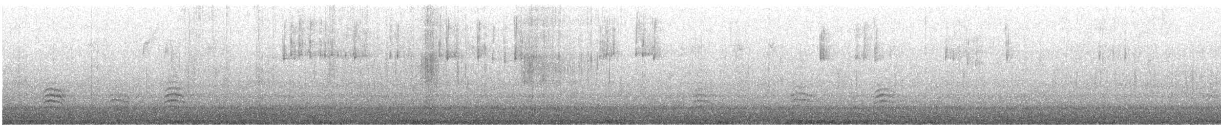 White-breasted Nuthatch (Eastern) - ML647407497