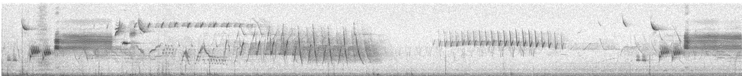 Savannah Sparrow - ML647407500