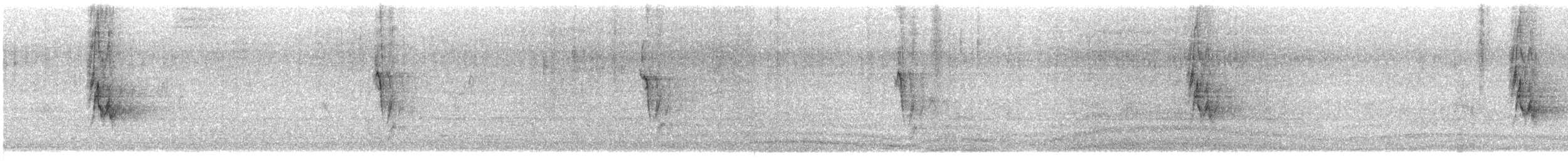 House Sparrow - ML647408291