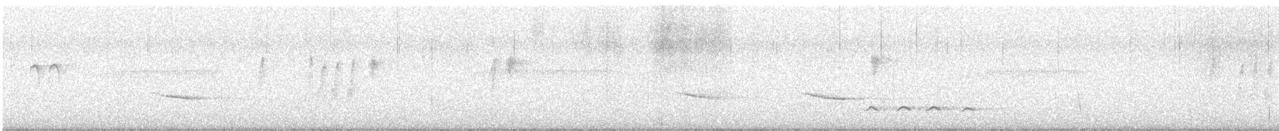 Black Drongo - ML647408415