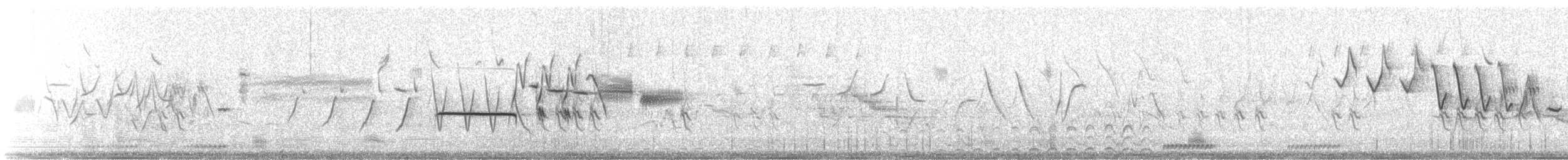 White-crowned Sparrow - ML647408448