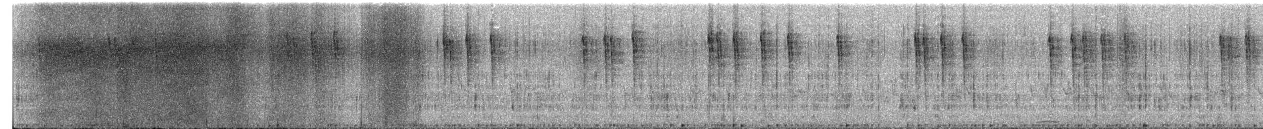 Eurasian Wren - ML647408502