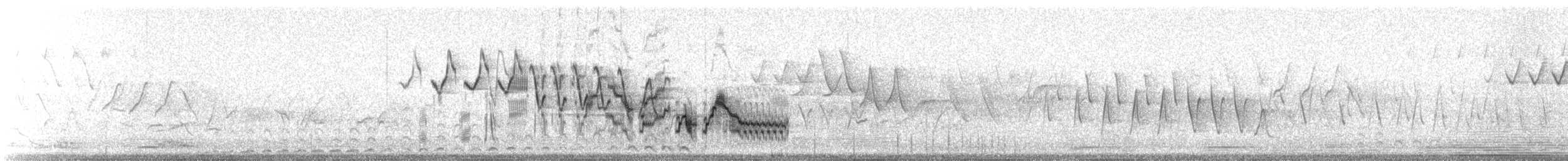 Grauwangen-Musendrossel - ML647408510