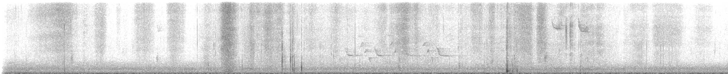 Carolina Wren - ML647408791