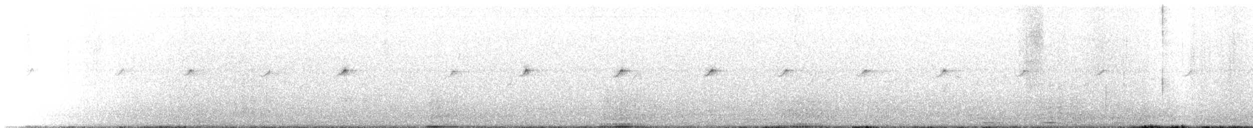 rehek domácí - ML647408825