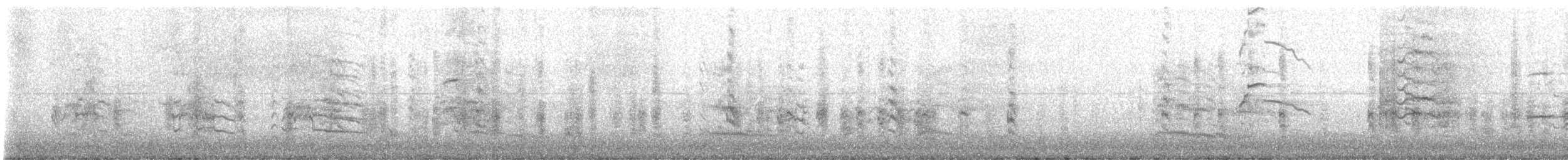 Black-headed Gull - ML647409403