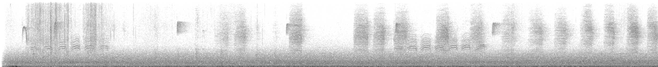 Carolina Wren - ML647409418