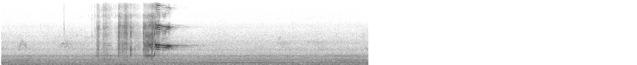 Zanate Mexicano - ML647410738