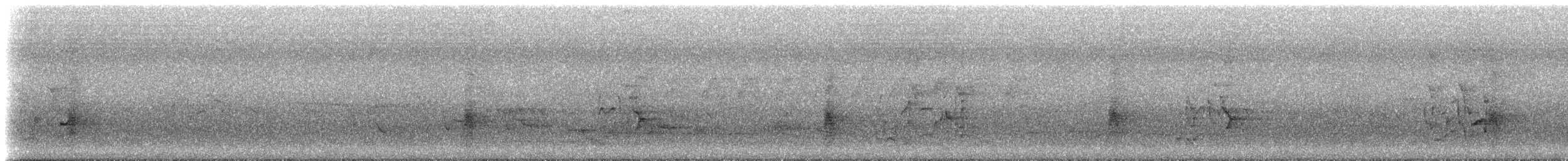 Carraca Oriental - ML647410762