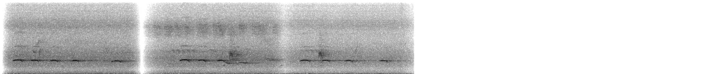 Pic cendré (canus/jessoensis) - ML647410818