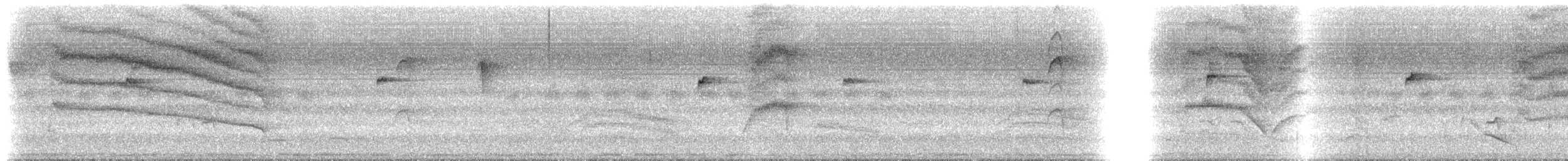 חכלילית סיבירית - ML647410930