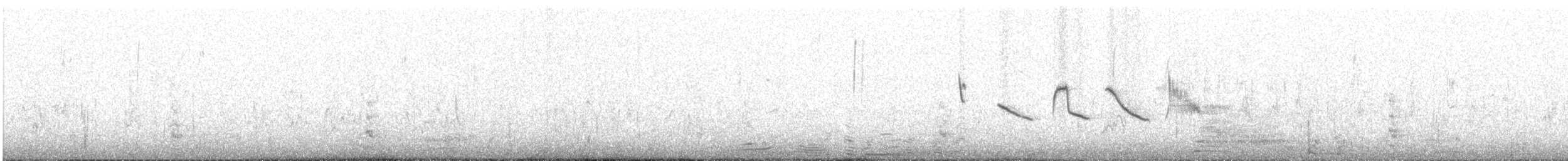 Andean Gull - ML647411111