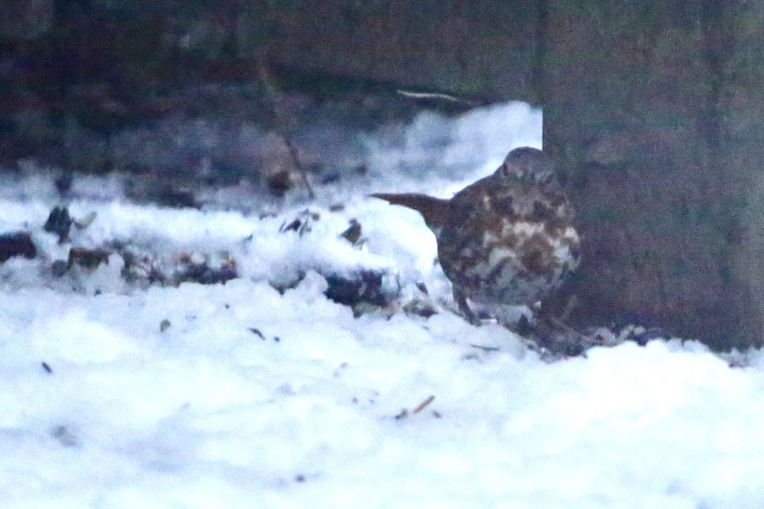 Passerella variabile - ML647411581