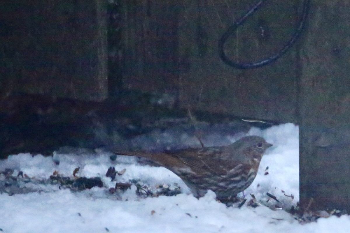 Passerella variabile - ML647411582