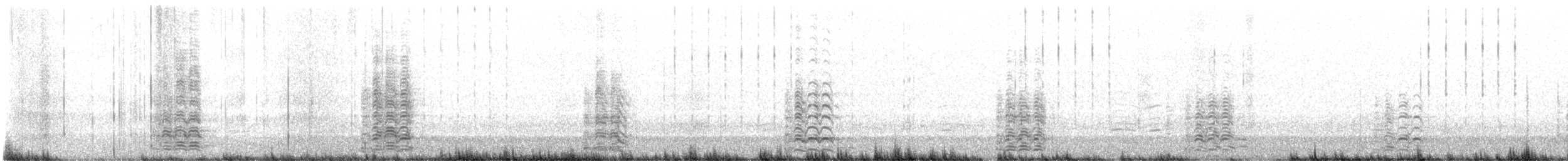 マガン属 - ML647411594