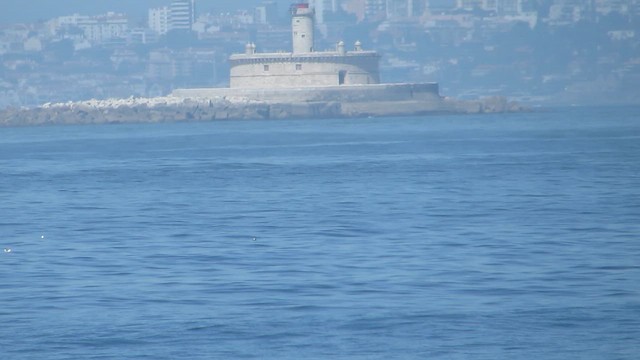 Підсоколик Елеонори - ML647411831