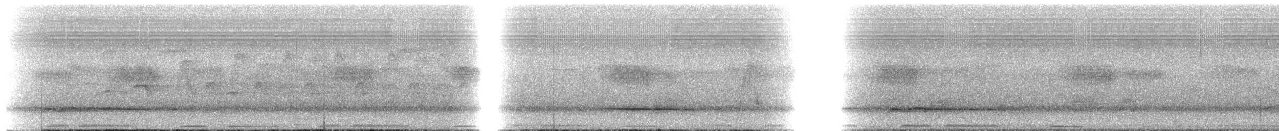 White's Thrush - ML647411985