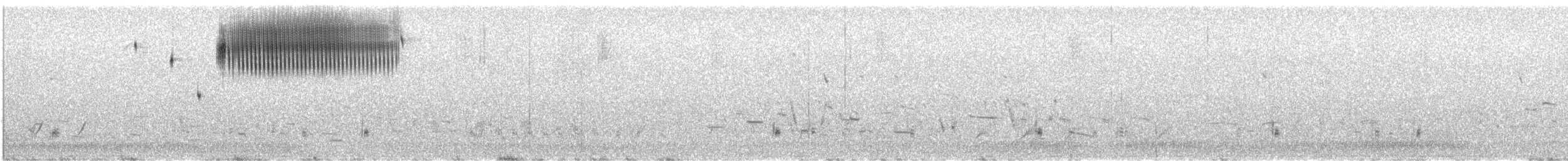 Chingolo Saltamontes - ML647412277