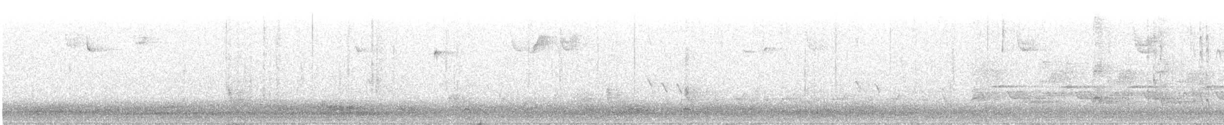 Поплітник каролінський - ML647413748