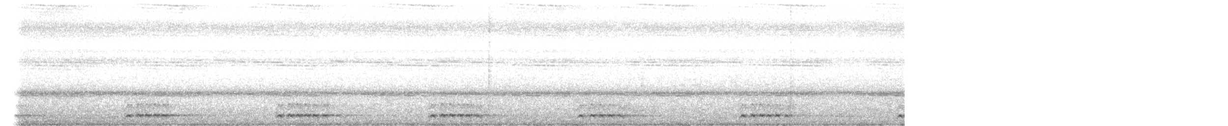 Полосатый бородастик - ML647414498