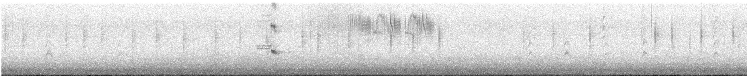 Colibri d'Anna - ML647415078