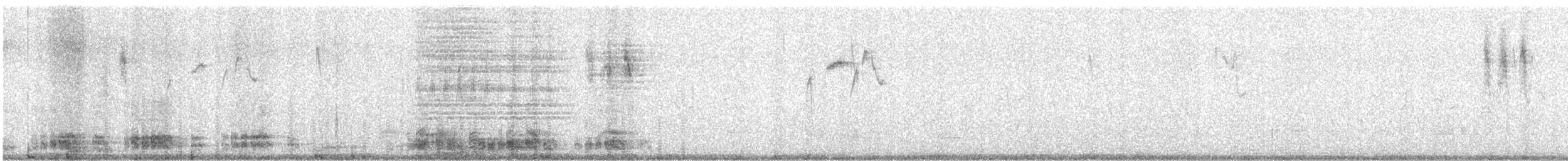 Outarde korhaan - ML647415086