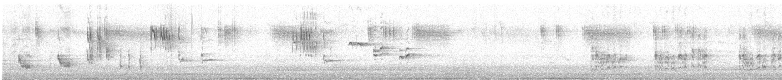 Grive musicienne - ML647415297