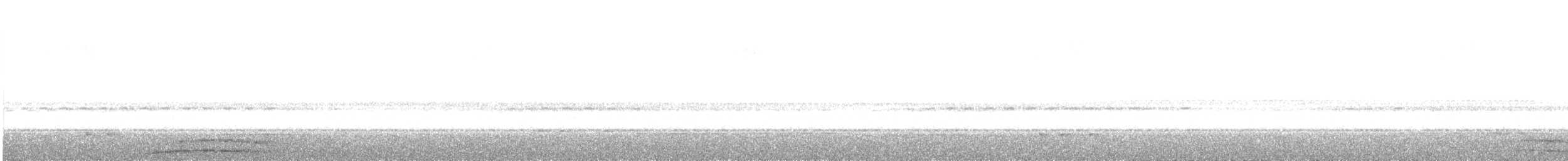 Chouette mouchetée - ML647415354