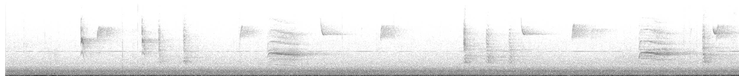 Гіла каролінська - ML647415805