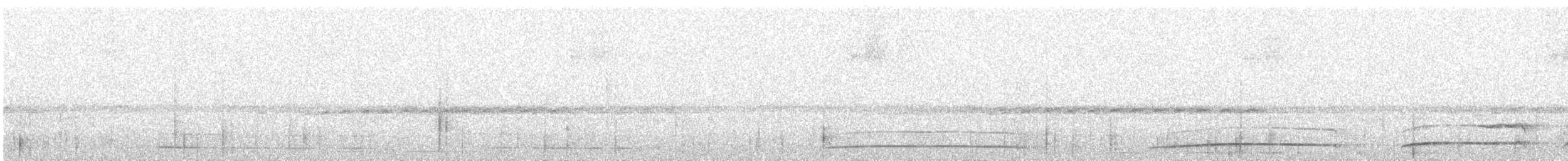 Chouette mouchetée - ML647415857