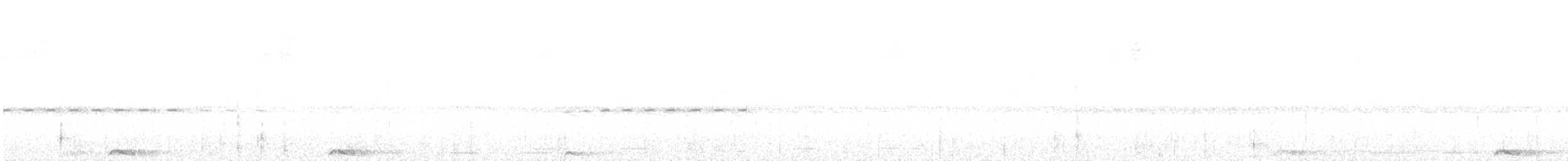 Chouette mouchetée - ML647415858